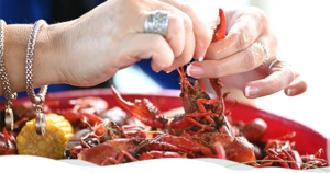 Two hands peeling boiled crawfish.