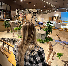 Looking at dinosaur bones at the museum
