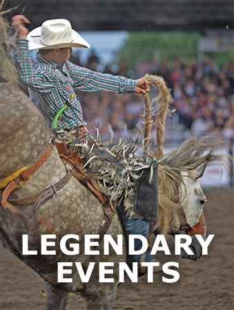 Man bronco riding a horse.