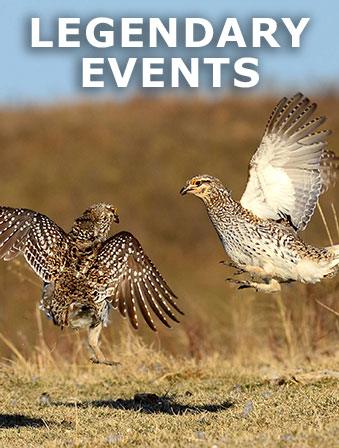 Text reading Legendary Events over an image of two pheasants