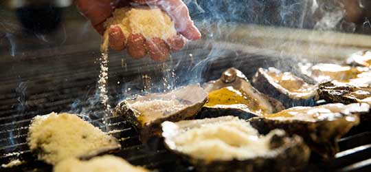 Oysters on grill with cheese being sprinkled. 