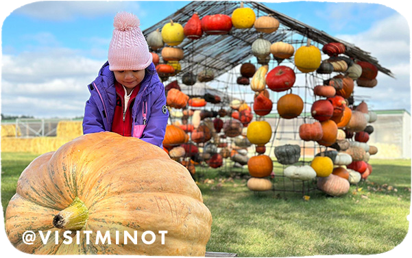 A little girl wearing a purple jacket with her hands on a large pumpkin, with overlay text that reads @visitminot