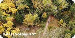Aerial view of forest with golden and green foliage with text overlay that reads @MattDoesMinot