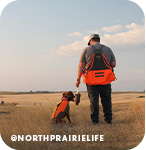 Male hunter standing in a field next to a hunting dog with text overlay that reads @NorthPrairieLife