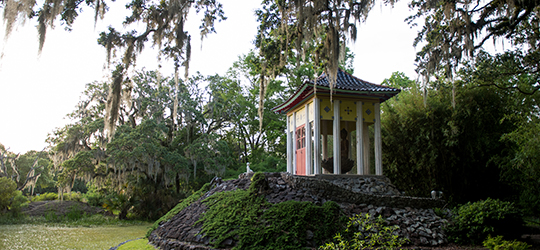 A view of Avery Island's Jungle Gardens
