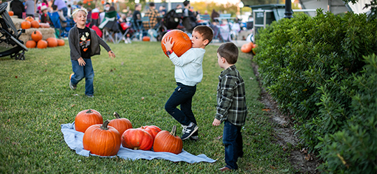 A child holds a pumpkin