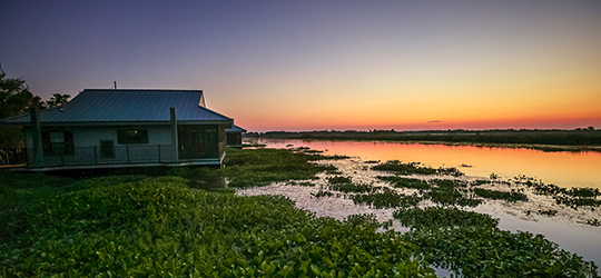 A view of Bayou Segnette at sunset