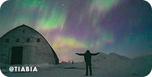 Person standing with outstretched arms looking at the purple and green Northern Lights, with overlay text that reads @tiabia