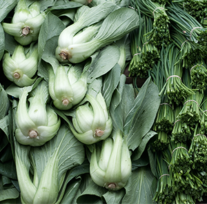 Vegetables at a winter market.