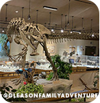 Exhibit of a dinosaur skeleton at a museum, with overlay text that reads: @gleasonfamilyadventure