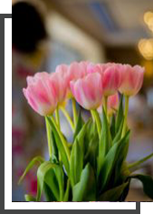 A bouquet of pink tulips at the Fairmont hotel in Austin, Texas