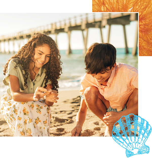 kids looking for seashells and sharks teeth on venice beach fl
