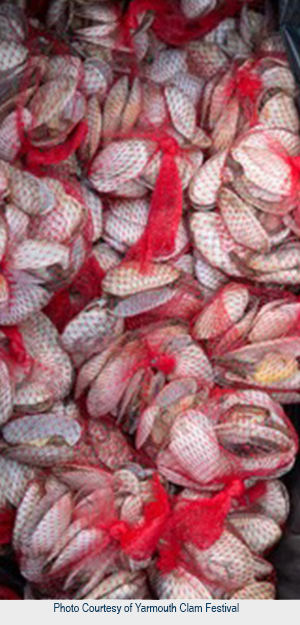Market worker holding a tray of green beans for sale.