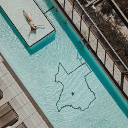 Aerial view of the JW Marriott Austin swimming pool with a Texas state outline etched at the bottom