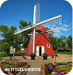 A red and white windmill surrounded by colorful flowers and a dirt path, with overlay text that reads: @littleluddite