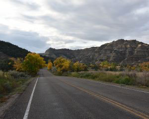 Scene of an empty road leading to trees with gold leaves and rock formations