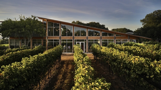 Rows of grapevines lead to a modern tasting room at William Chris Vineyards in Hye, Texas