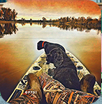 Two black dogs sitting on a canoe floating on a body of water, with a person's legs behind them