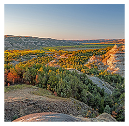 Aerial view of a landscape with green, yellow and orange trees over rock formations and cliffs