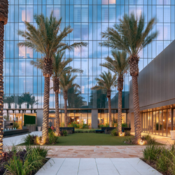 Outdoor courtyard of the Fairmont Austin lined with rows of palm trees along walkways