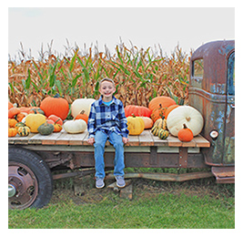 A young boy sitting on the back of a vintage pickup truck, surrounded by orange and white pumpkins with corn stalks in the background