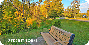 A wooden bench outside on green grass with orange and green trees in the background, with overlay text that reads: @territhorn