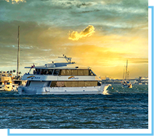 marina dinner cruises