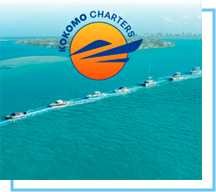 kokomo charters