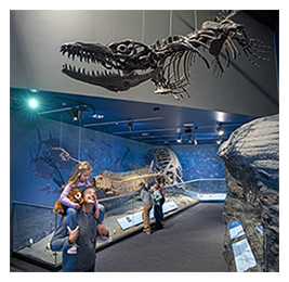 Man with a little girl on his shoulders looking at animal skeletons in a museum