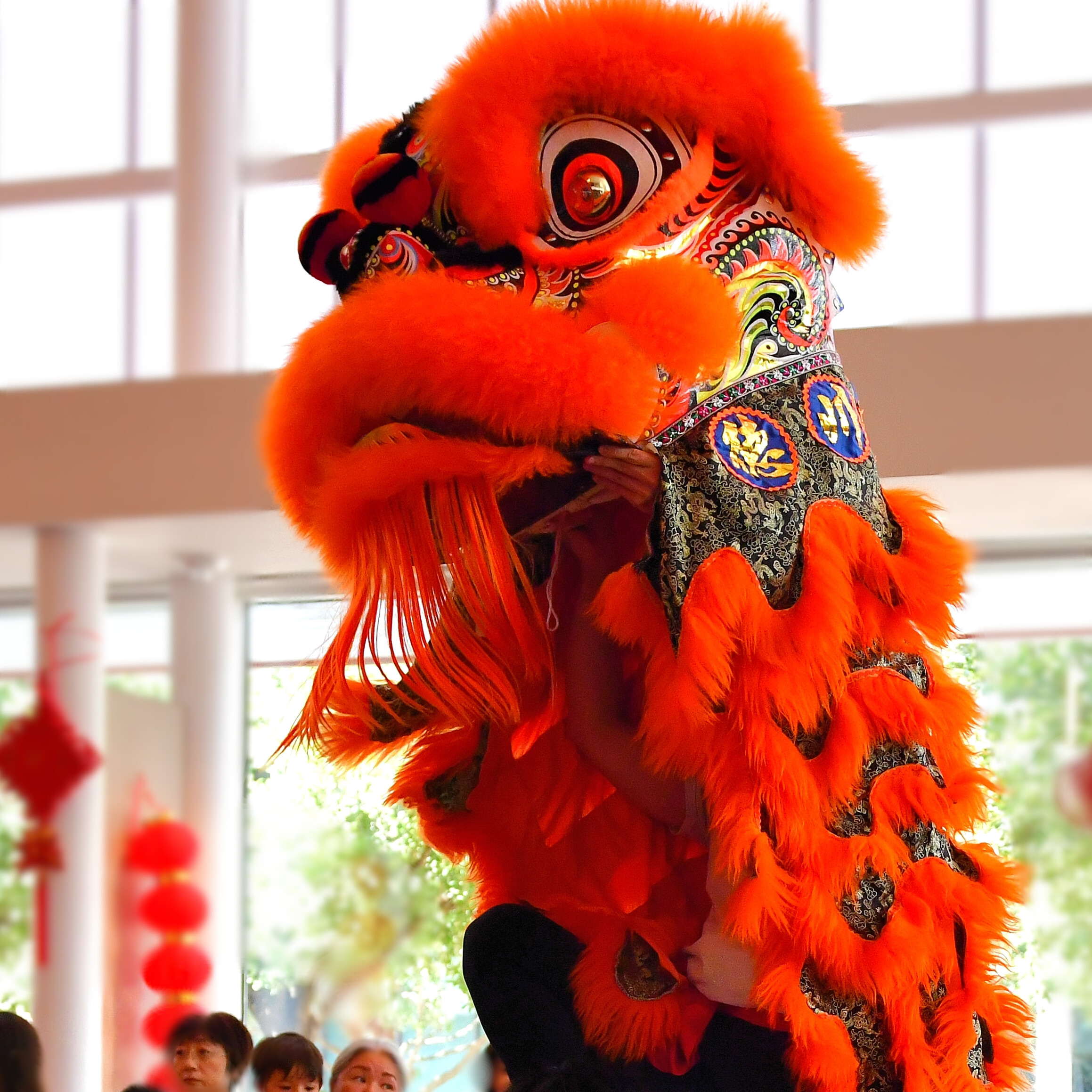 Lion Dance troupe performing at the Austin Chinese Culture Festival