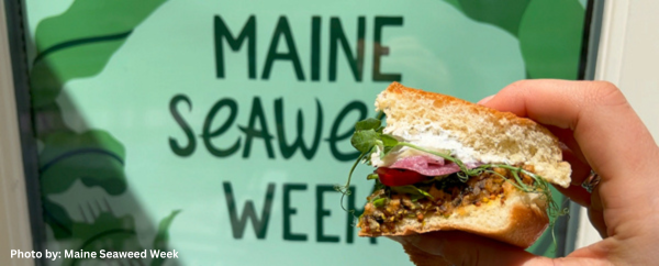 Seaweed sandwich held in front of a promotional sign for Maine Seaweed Week