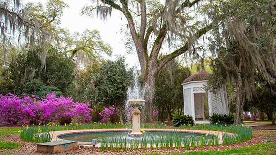 Azaleas at Rosedown Plantation State Historic Site