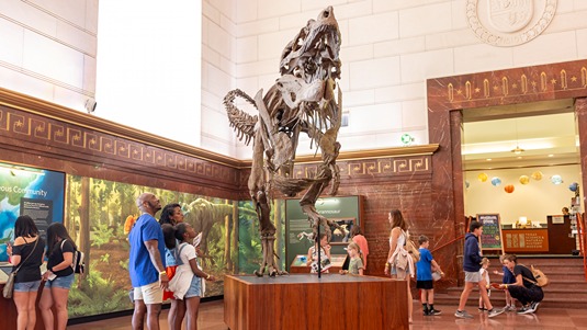 Children and adults look at a dinosaur fossil at the Texas Science & Natural History Museum in Austin
