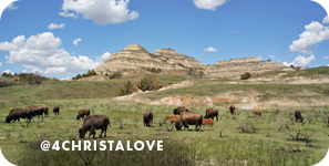 Grassy landscape with bison grazing and rock formations in the background, with overlay text that reads: @4christalove