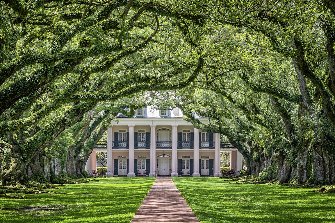 Historic home framed by draping oak trees