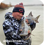 Man cradling a caught fish near water, with overlay text that reads: @shalofish