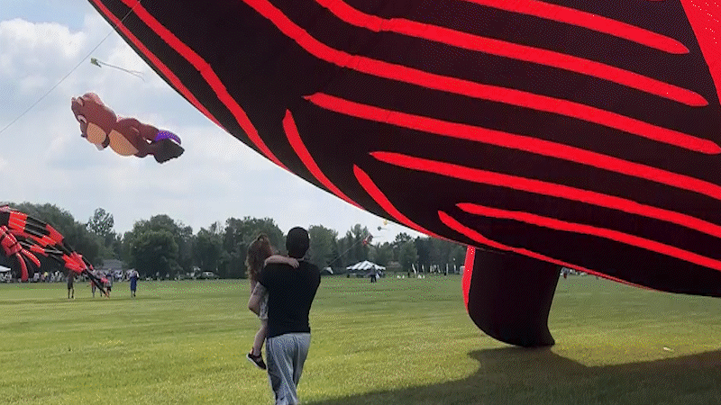GIF of kites flying at festivals in North Dakota