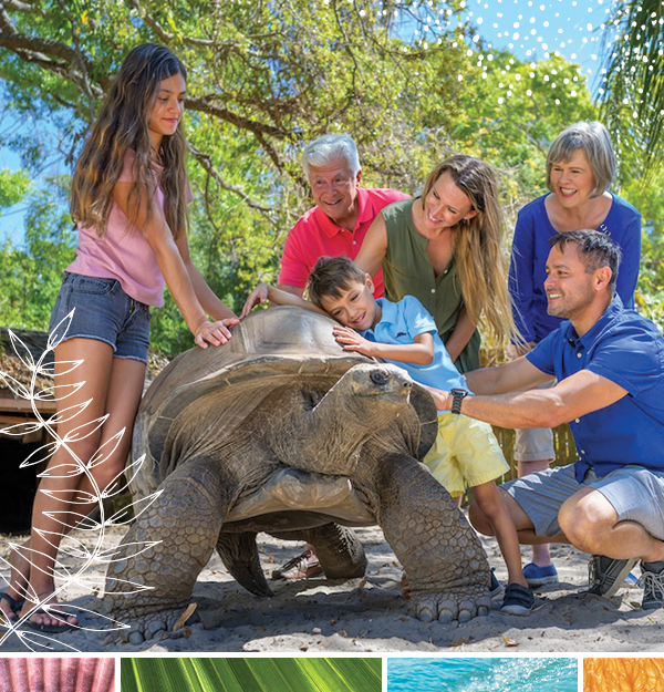 family petting tortoise at jungle gardens