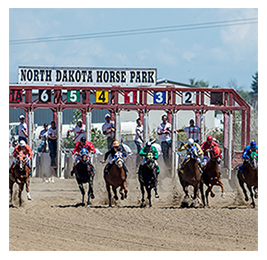 Race horses running out of the starting gate of a track, with a sign that reads: North Dakota Horse Park