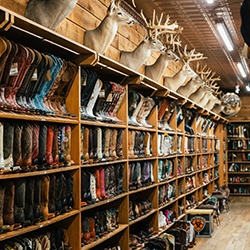 Leather western boots sit on shelves topped with deer mounts at Allens Boots on South Congress Avenue in Austin, Texas.
