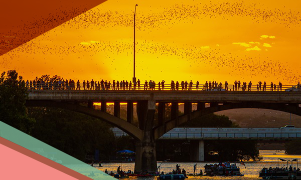 People line Austin's Congress Avenue Bridge in the orange glow of sunset waiting for bats to emerge