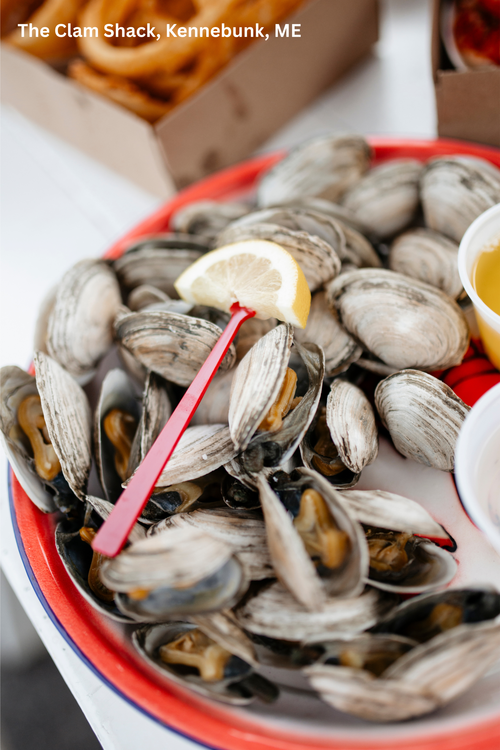 Bowl of fresh clams with lemon and butter 