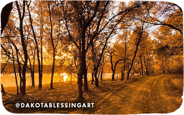 A tree-lined trail with an orange glow from leaves and sunset, with overlay text that reads: @dakotablessingart