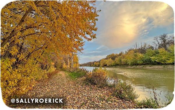 Trees with orange fall foliage lining a river, with overlay text that reads: @sallyroerick