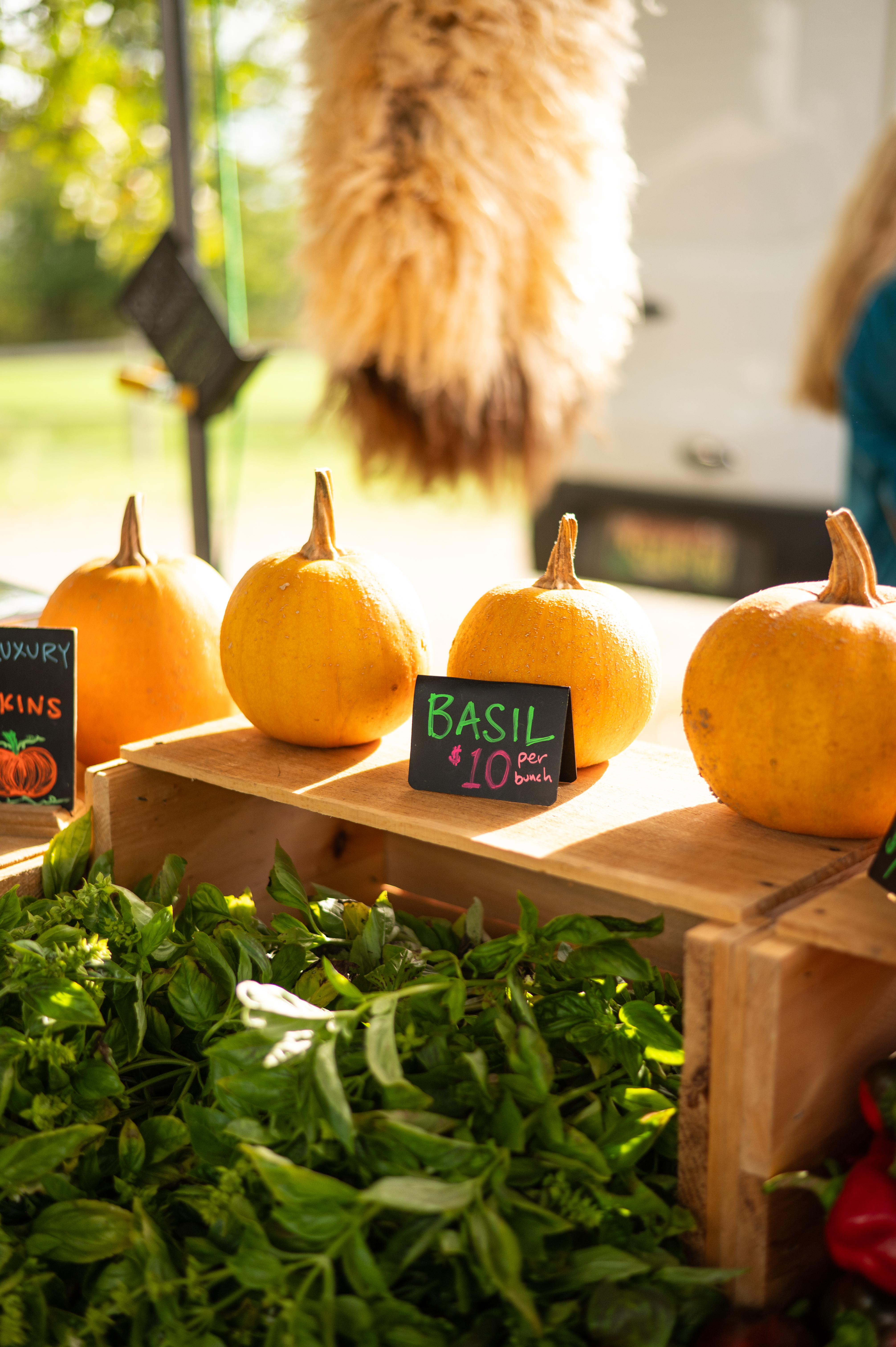 Common Ground County Fair vegetable stand 