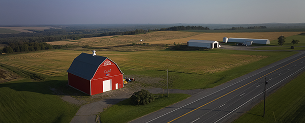 Farm land preparing for harvest season 