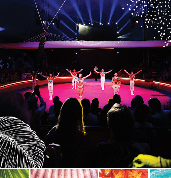 circus performers bowing on stage at circus sarasota show