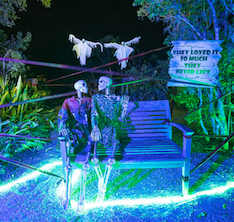 skeletons on halloween in spooky point sarasota fl