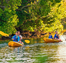 family kayaking in lido key mangroves