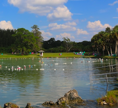 swimmers at warm mineral springs park